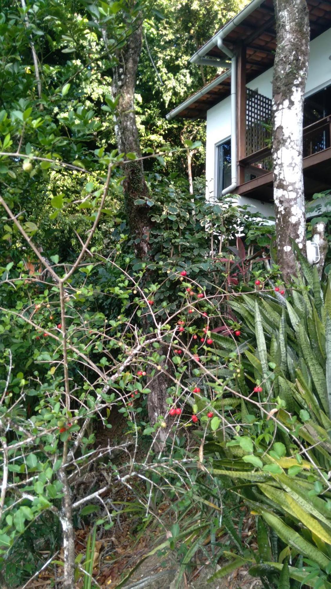 Casa Shuhari Villa Morro de Sao Paulo Ngoại thất bức ảnh