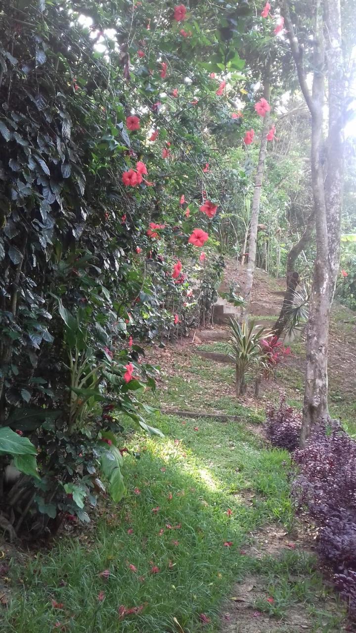 Casa Shuhari Villa Morro de Sao Paulo Ngoại thất bức ảnh